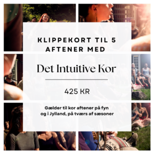 Klippekort 5 aftener med Det Intuitive Kor