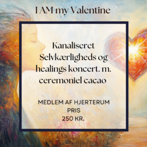 I AM my Valentine, koncert. Pris for medlemmer af Hjerterum